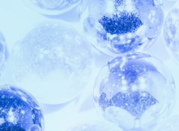幹細胞と細胞の違い